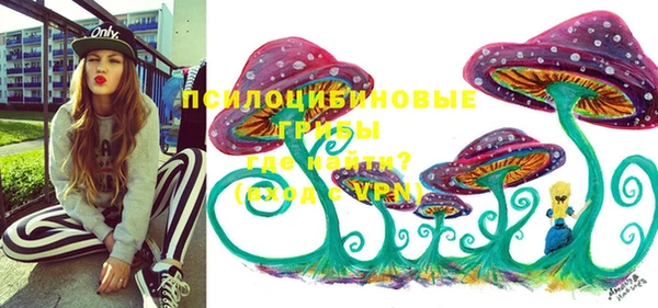 ПСИЛОЦИБИНОВЫЕ ГРИБЫ Осташков