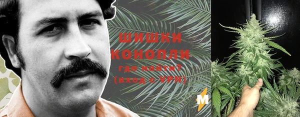 ПСИЛОЦИБИНОВЫЕ ГРИБЫ Осташков