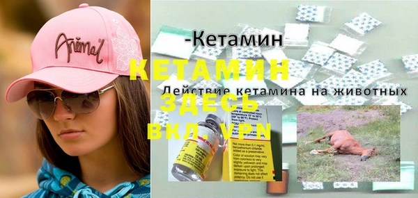 ПСИЛОЦИБИНОВЫЕ ГРИБЫ Осташков