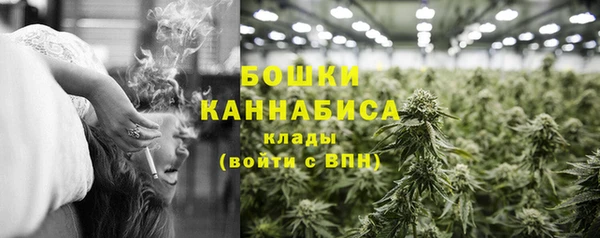 PSILOCYBIN Осинники