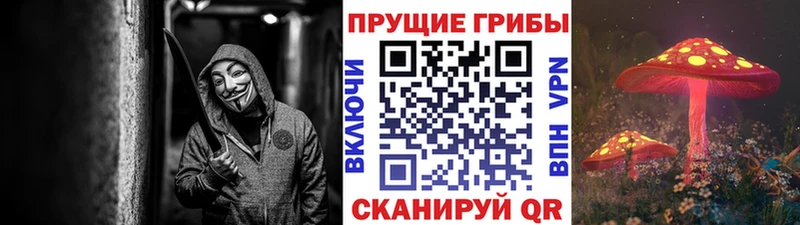 Галлюциногенные грибы Cubensis  Аркадак 